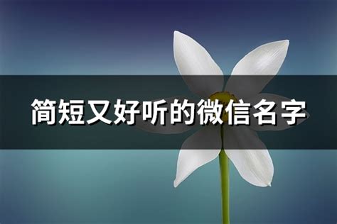 名字微信|2050个简单好听的微信名网名,高雅不俗昵称（41